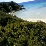 Stellamarina