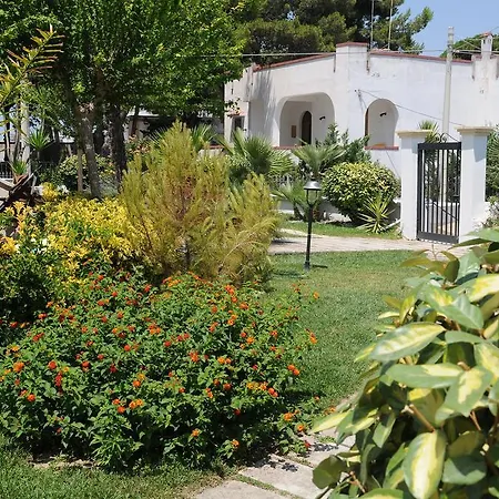 B&B Stellamarina *