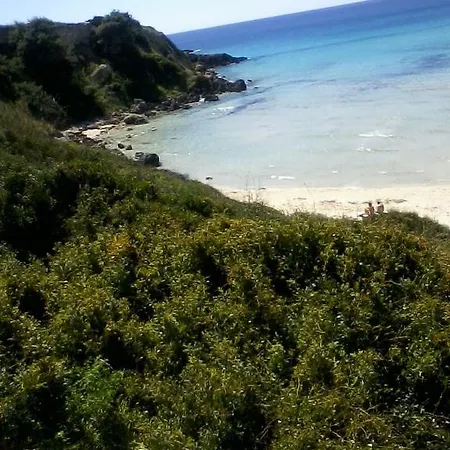 Stellamarina